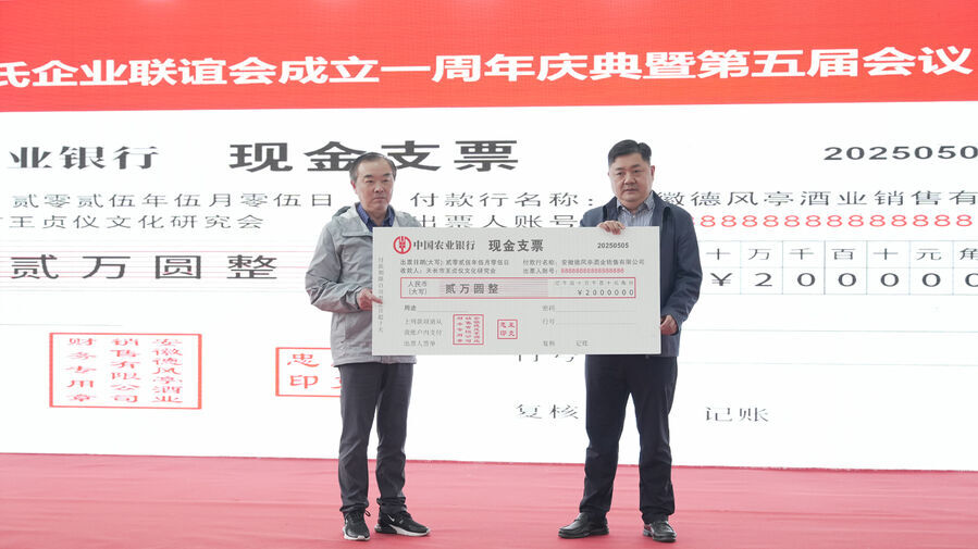 安徽天长王氏企业联谊会举行成立周年庆典(图8)