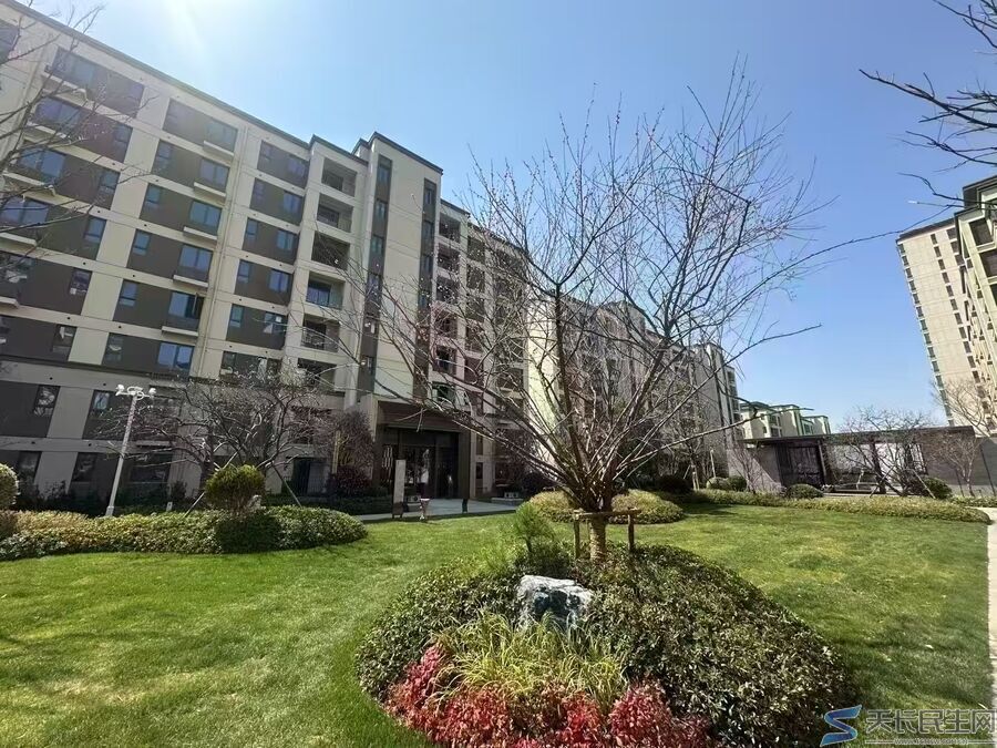 出售：南市区国企九州樾好楼层113 平飞机户三房两厅两卫(图1)