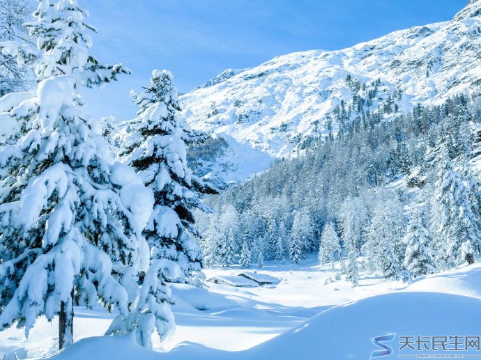 体验极寒天气——吉林长白山