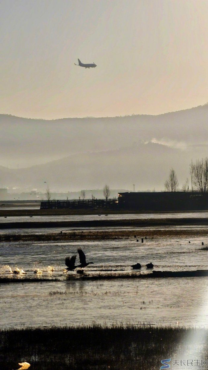 纳帕海——云南迪庆香格里拉