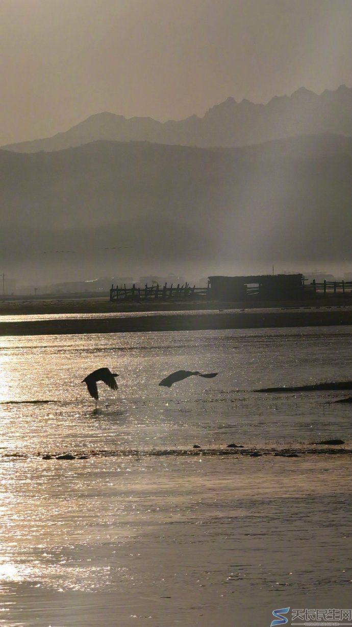 纳帕海——云南迪庆香格里拉
