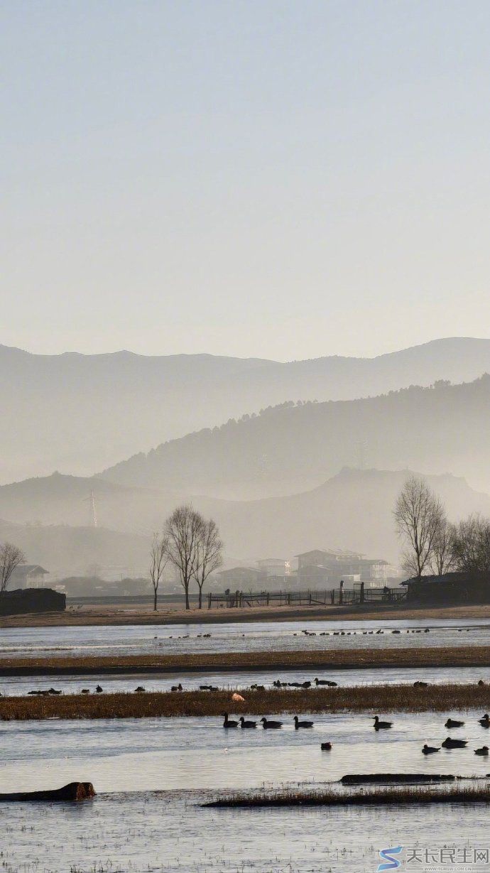 纳帕海——云南迪庆香格里拉