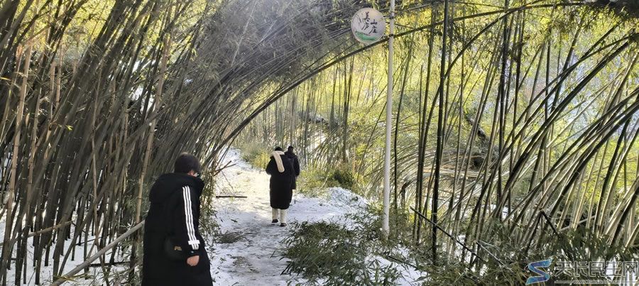 轻游记——洛阳老君山（1）