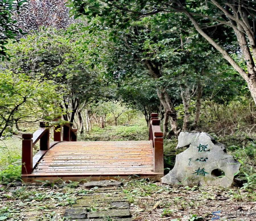 雅风天长—授良菊序2025年10月31日(图6) 雅风天长—授良菊序2025年10月31日(图6)