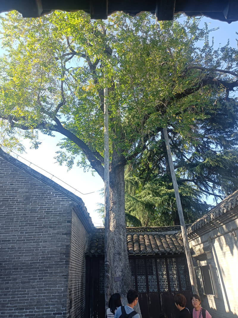 青砖凝初心  故里忆伟人——淮安周恩来故居