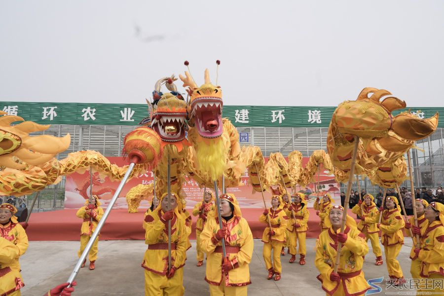 逛吃看玩全拿捏!2026年天长市新街镇非遗展演+农货大集火出圈啦~~(图3) 文章图片2