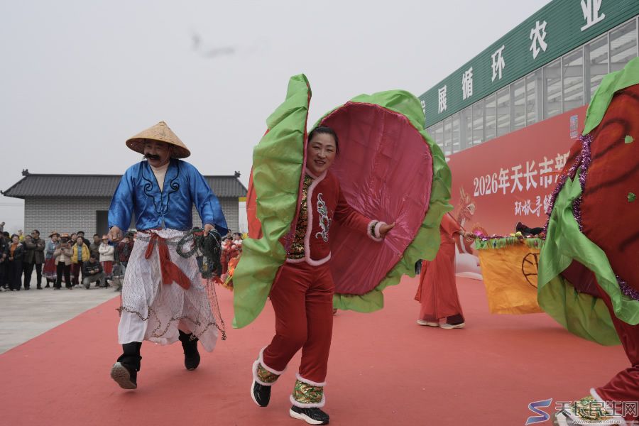 逛吃看玩全拿捏!2026年天长市新街镇非遗展演+农货大集火出圈啦~~(图4) 文章图片1