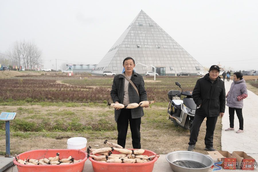 逛吃看玩全拿捏!2026年天长市新街镇非遗展演+农货大集火出圈啦~~(图11) 文章图片5