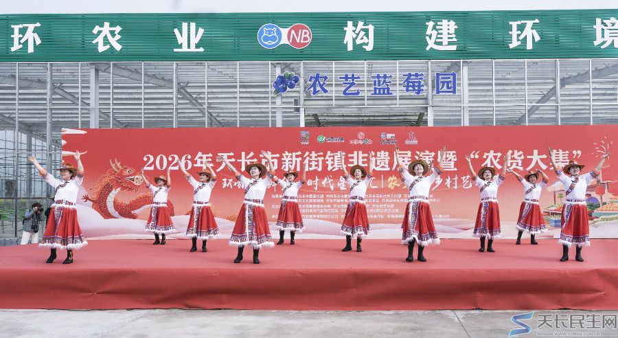 逛吃看玩全拿捏!2026年天长市新街镇非遗展演+农货大集火出圈啦~~(图6) 文章图片1
