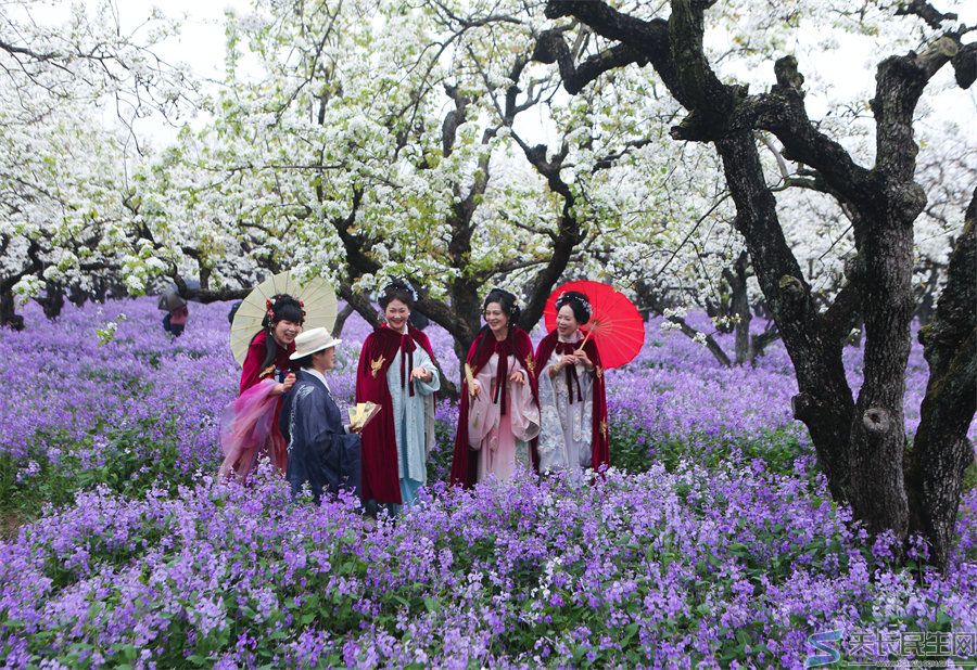 天长市旅游摄影协会赴江苏采风