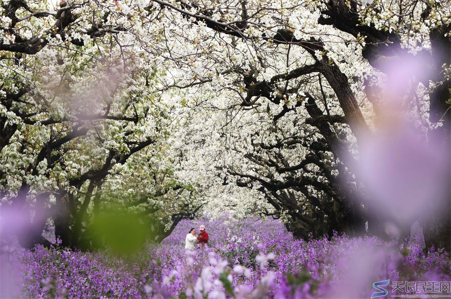 天长市旅游摄影协会赴江苏采风