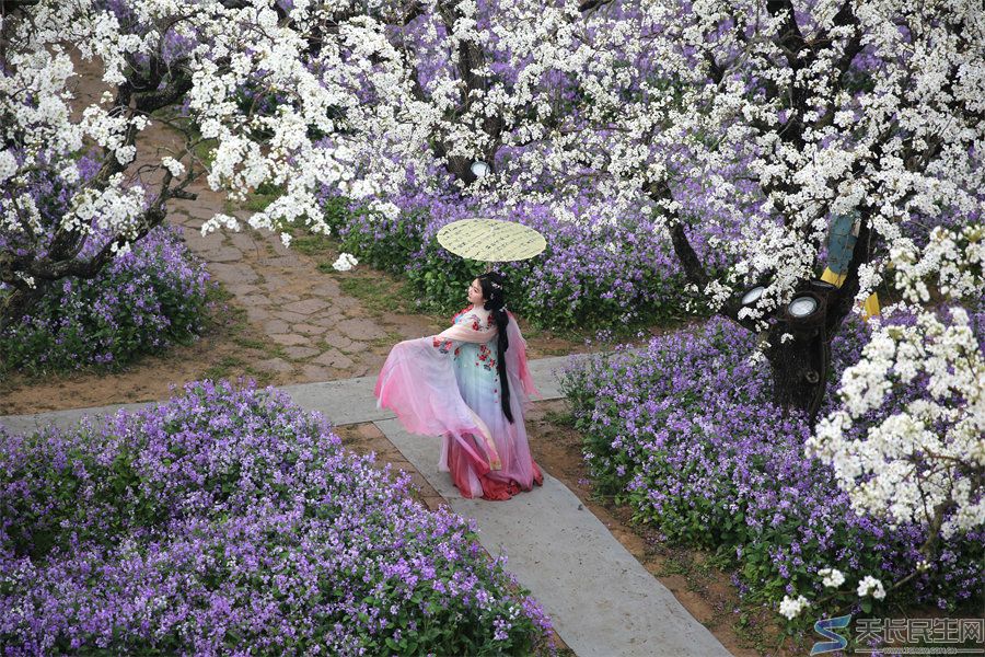 天长市旅游摄影协会赴江苏采风