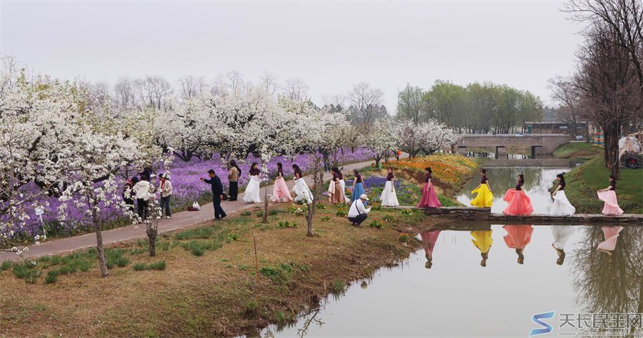 天长市旅游摄影协会赴江苏采风
