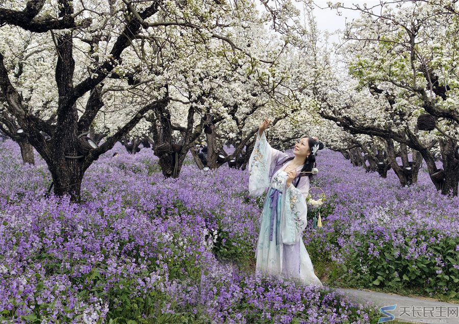 天长市旅游摄影协会赴江苏采风