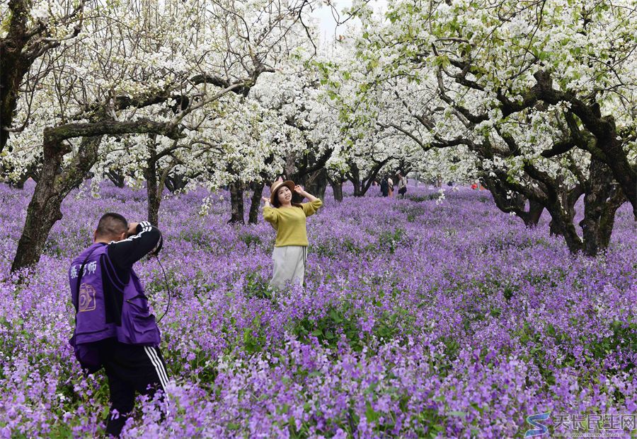 天长市旅游摄影协会赴江苏采风