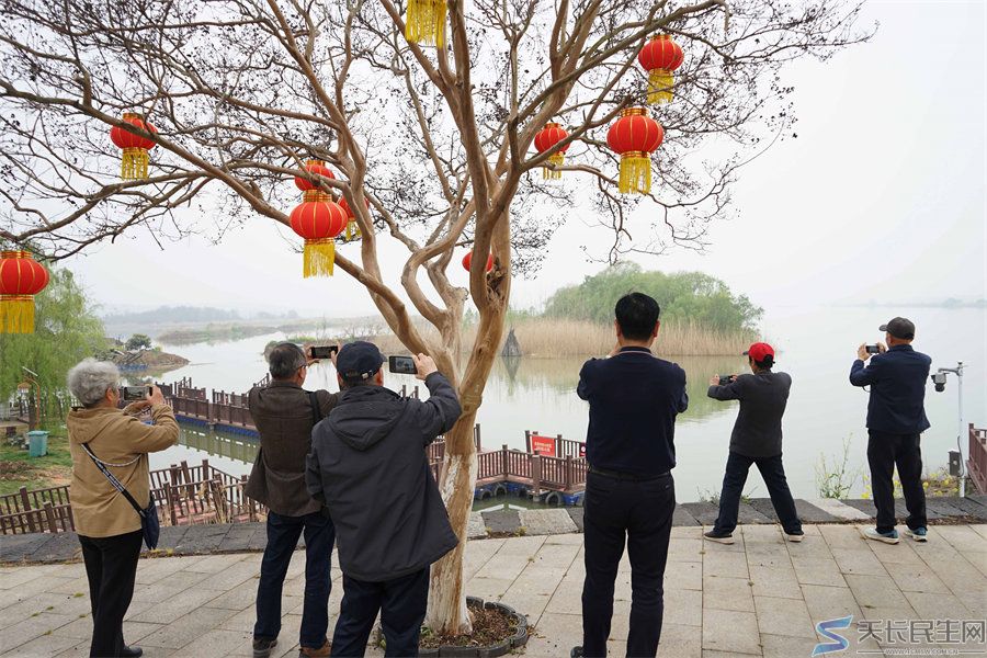 天长市旅游摄影协会赴江苏采风