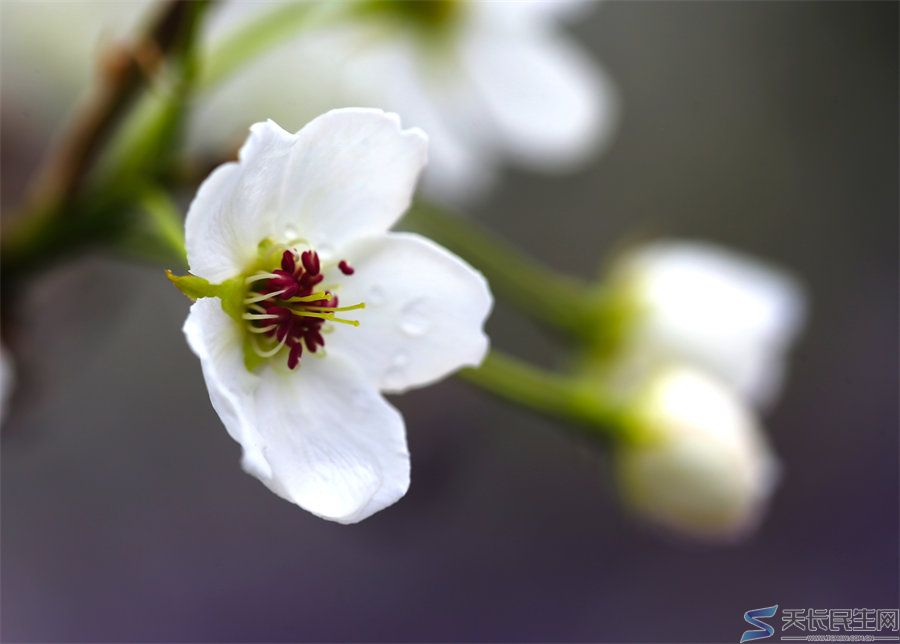 天长市旅游摄影协会赴江苏采风
