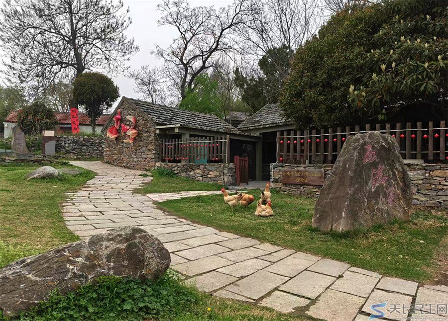 天长市旅游摄影协会赴江苏采风