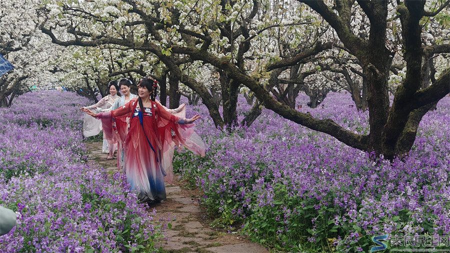 天长市旅游摄影协会赴江苏采风