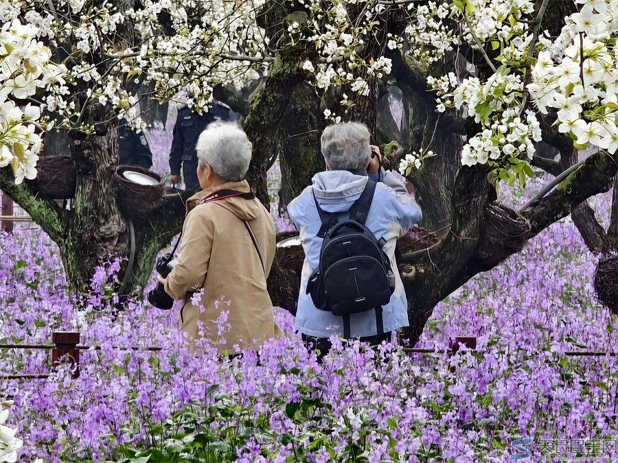 天长市旅游摄影协会赴江苏采风