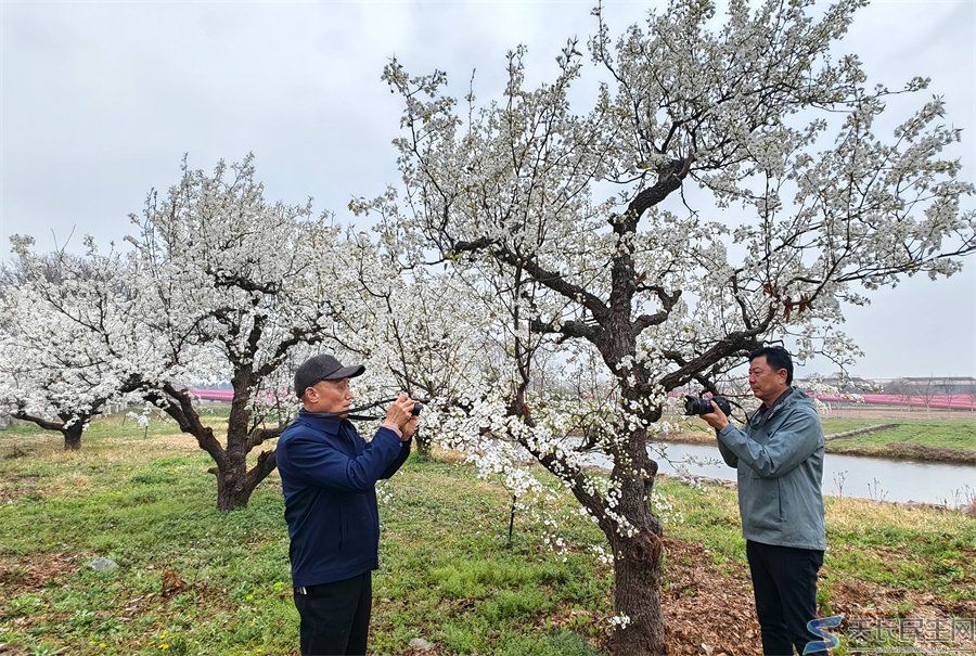 天长市旅游摄影协会赴江苏采风