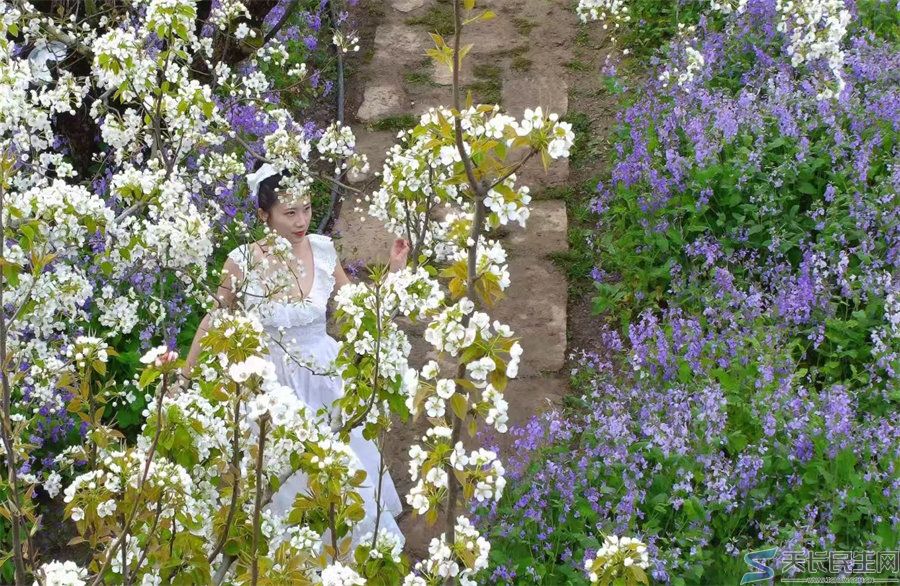 天长市旅游摄影协会赴江苏采风