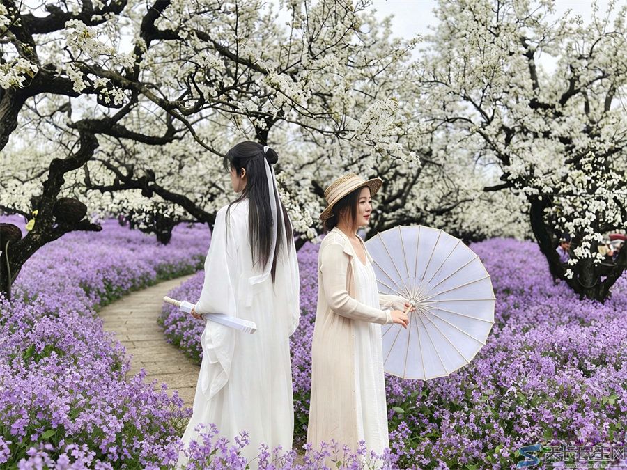 天长市旅游摄影协会赴江苏采风