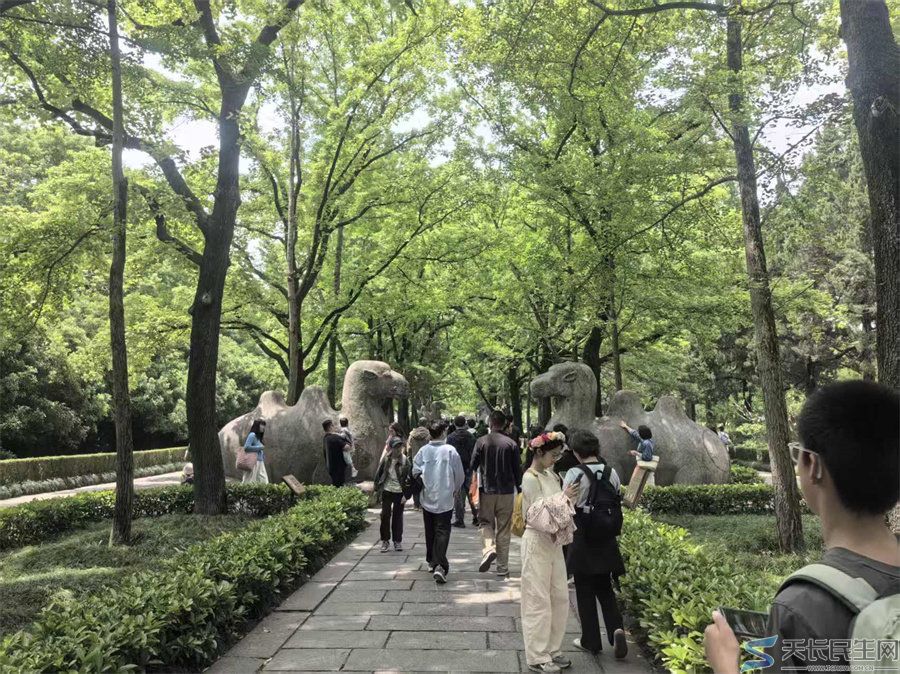 游明孝陵——南京钟山