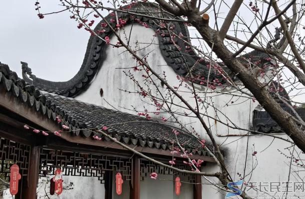 文章图片2